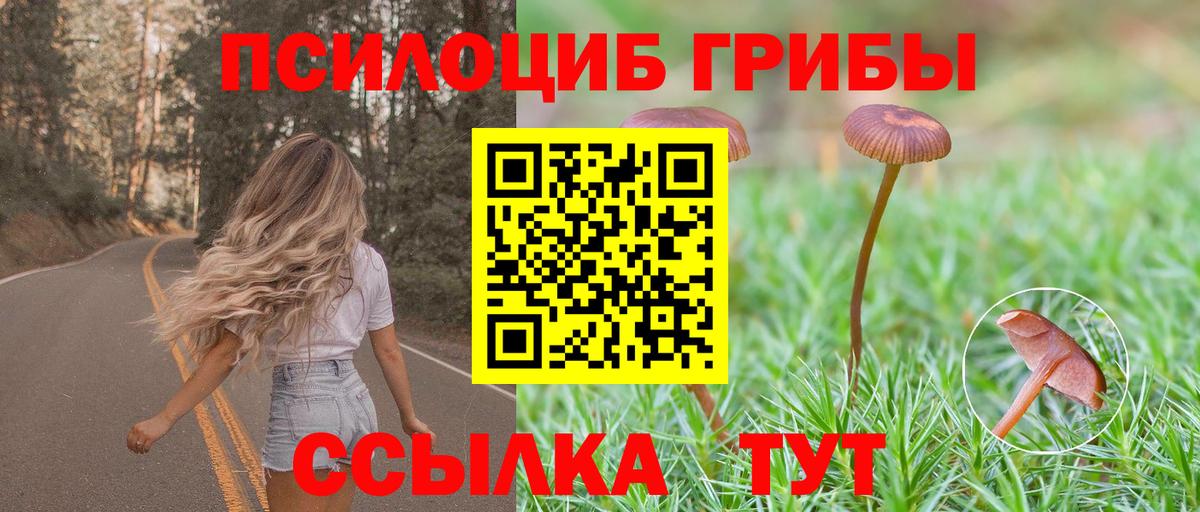 Галлюциногенные грибы мухоморы  Вход с VPN  Псилоцибиновые грибы Psilocybe  Обь 